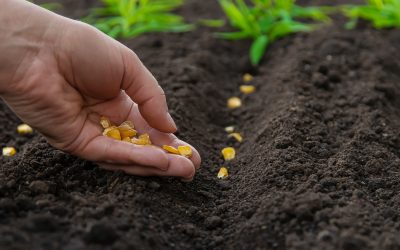 Planting Spiritual Seed